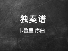 卡鲁里《序曲》吉他谱A调吉他指弹独奏谱_考级六级