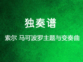 索尔《马可波罗主题与变奏曲》吉他谱D调吉他指弹独奏谱_考级八级