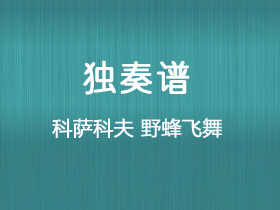 科萨科夫《野蜂飞舞》吉他谱C调吉他指弹独奏谱_考级八级