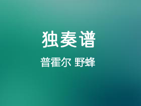 普霍尔《野蜂》吉他谱G调吉他指弹独奏谱_考级七级