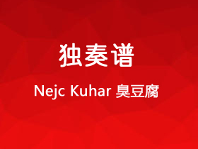 Nejc Kuhar 《臭豆腐》吉他谱C调吉他指弹独奏谱_考级六级