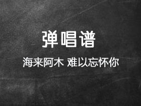 海来阿木《难以忘怀你》吉他谱G调吉他弹唱谱