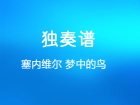 塞内维尔《梦中的鸟》吉他谱A调吉他指弹独奏谱_考级四级