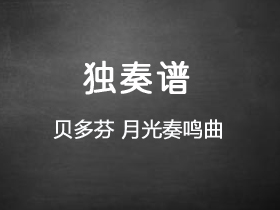 贝多芬《月光奏鸣曲》吉他谱D调吉他指弹独奏谱_考级五级