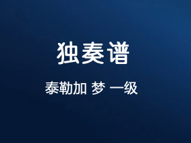 泰勒加《梦》吉他谱C调吉他指弹独奏谱