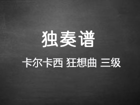 卡尔卡西《狂想曲》吉他谱F调吉他指弹独奏谱