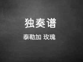 泰勒加《玫瑰》吉他谱D调吉他指弹独奏谱