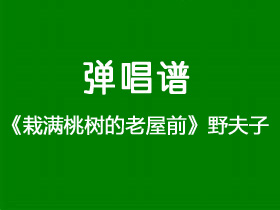 野夫子《栽满桃树的老屋前》吉他谱C调吉他弹唱谱