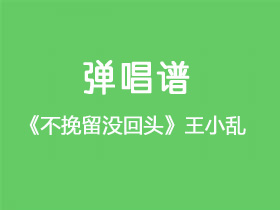 王小乱《不挽留没回头》吉他谱C调吉他弹唱谱