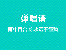 雨中百合《你永远不懂我》吉他谱G调吉他弹唱谱