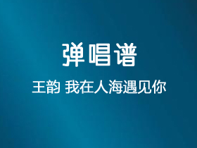 王韵《我在人海遇见你》吉他谱C调吉他弹唱谱